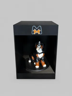 Figurine displayed inside a black MiniMe display box